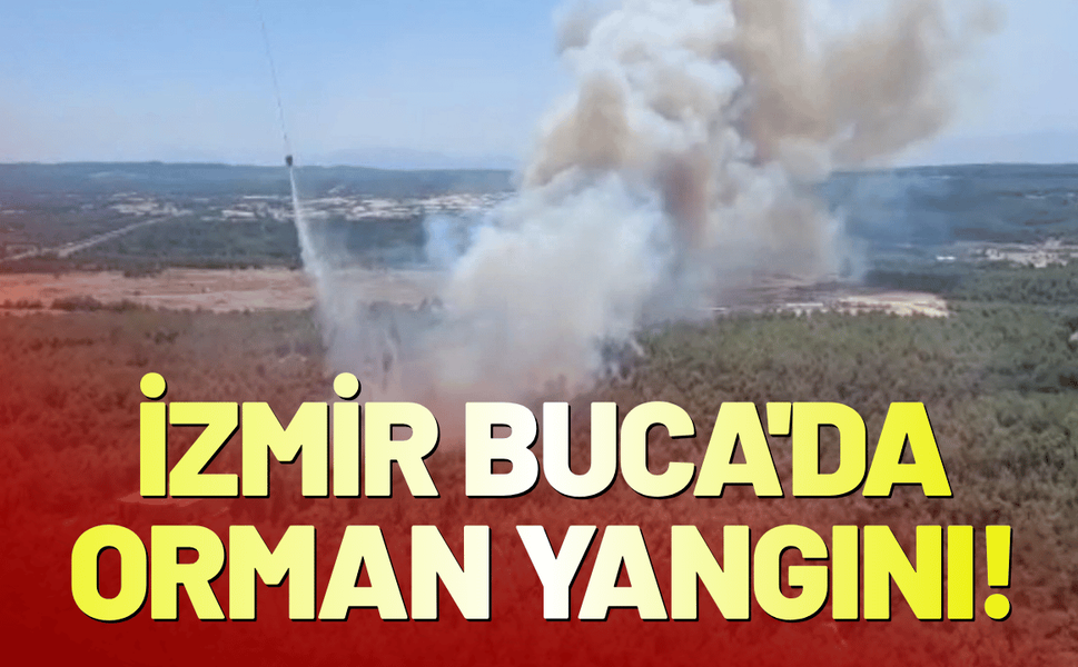 İzmir Buca'da orman yangını!