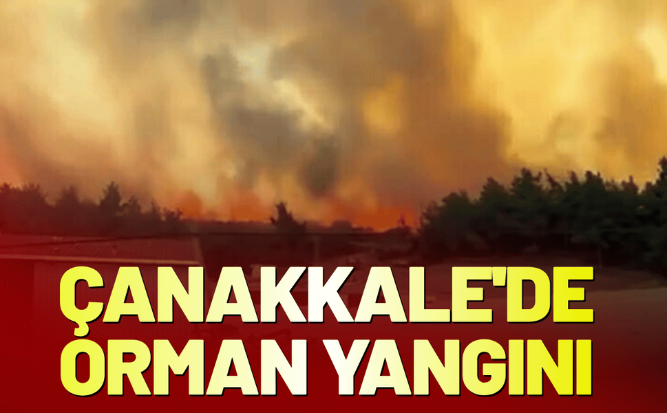 Çanakkale'de orman yangını