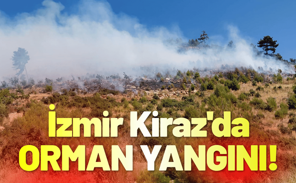 İzmir Kiraz'da orman yangını!