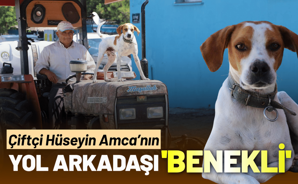 Çiftçi Hüseyin Amca'nın yol arkadaşı 'Benekli'