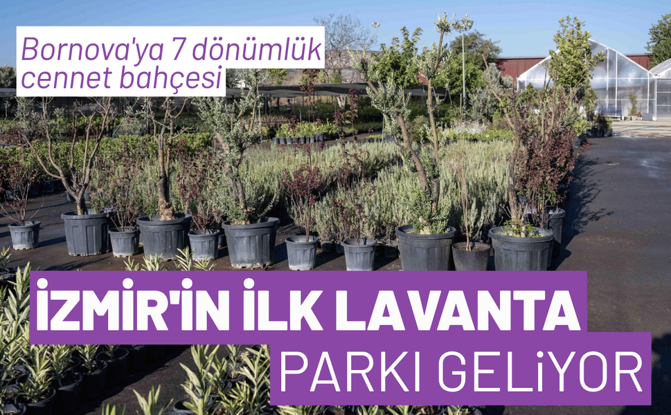 İzmir'in ilk lavanta parkı geliyor