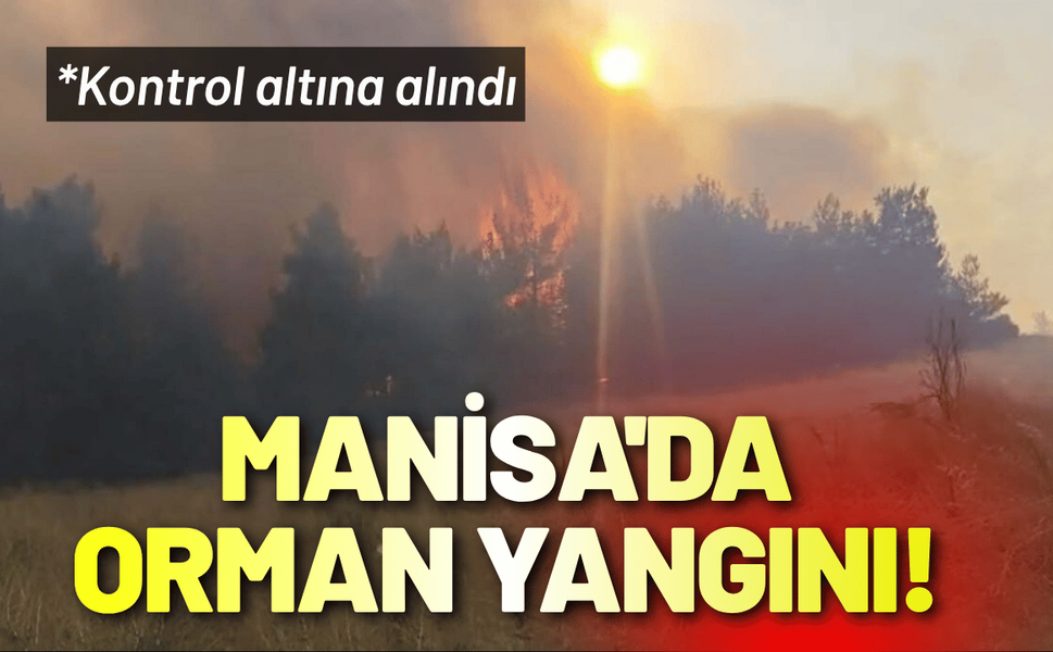 Manisa'da orman yangını! Kontrol altına alındı