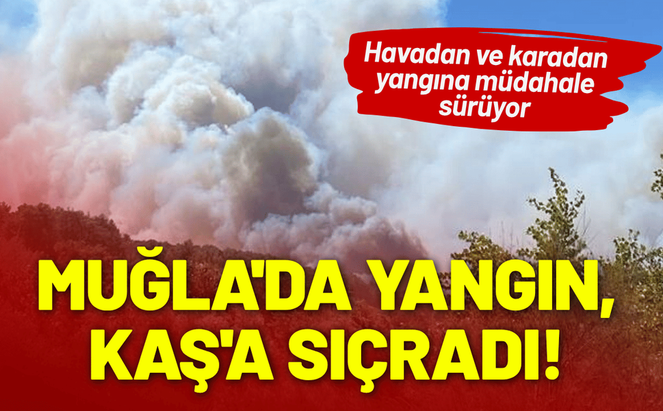 Muğla'da çıkan yangın, Kaş'a sıçradı!