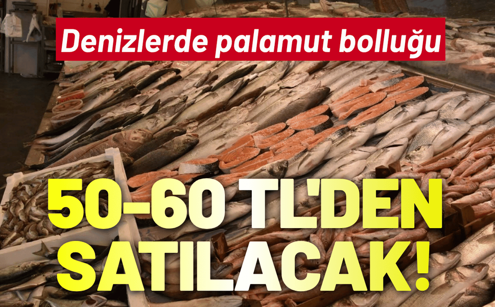 Denizlerde palamut bolluğu: 50-60 TL'den satılacak!