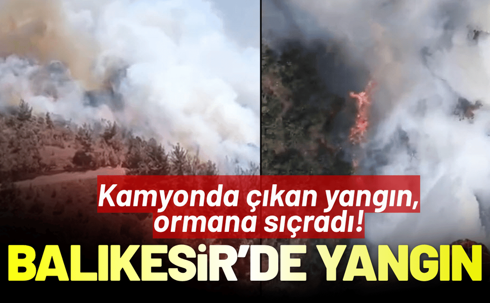 Balıkesir'de yangın: Kamyonda çıkan yangın, ormana sıçradı!