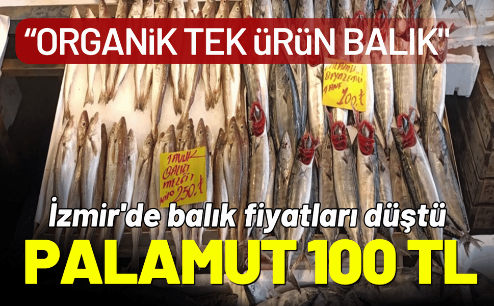 İzmir'de balık fiyatları düştü; palamut 100 TL