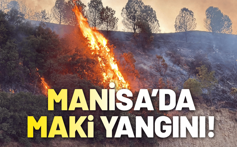 Manisa’da maki yangını!