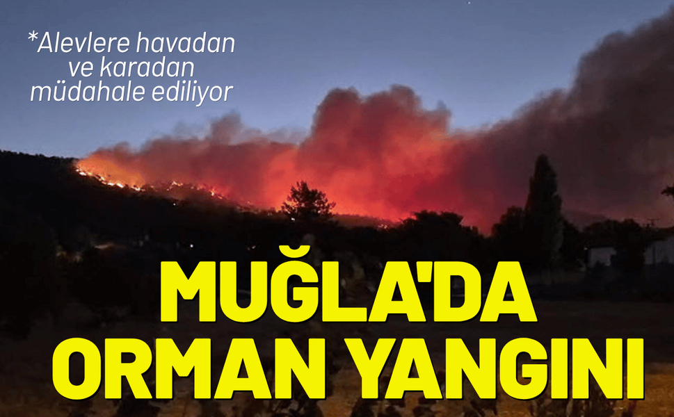 Muğla Menteşe'de orman yangını!