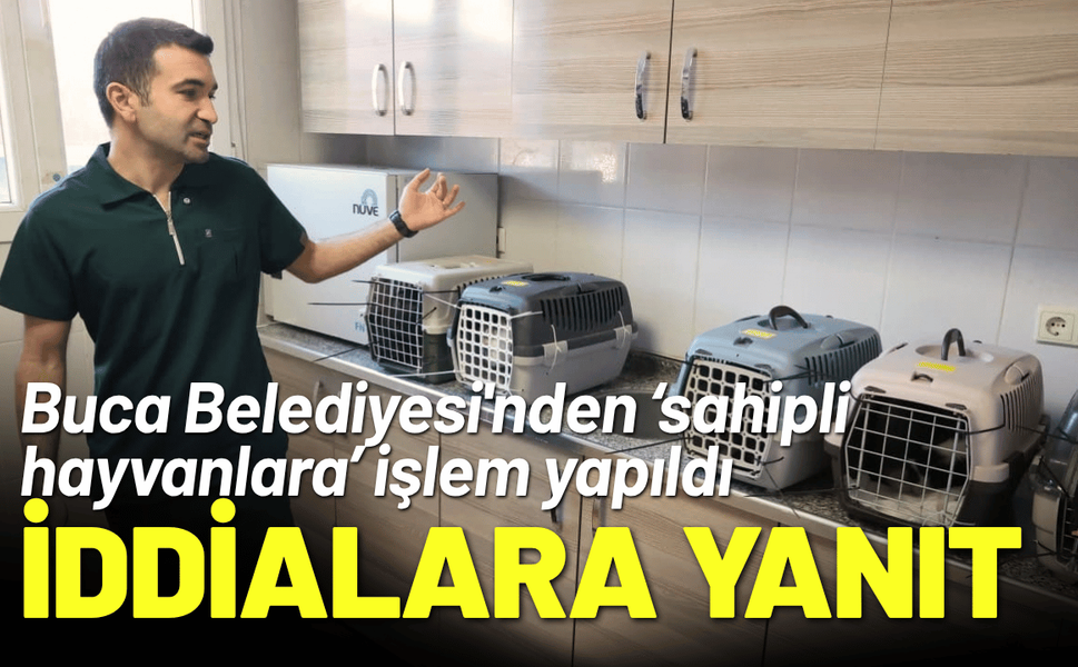 Buca Belediyesi'nden iddialara yanıt: Sahipsiz hayvanlara işlem yapılmaktadır
