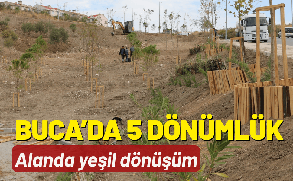 Buca’da 5 dönümlük alanda yeşil dönüşüm