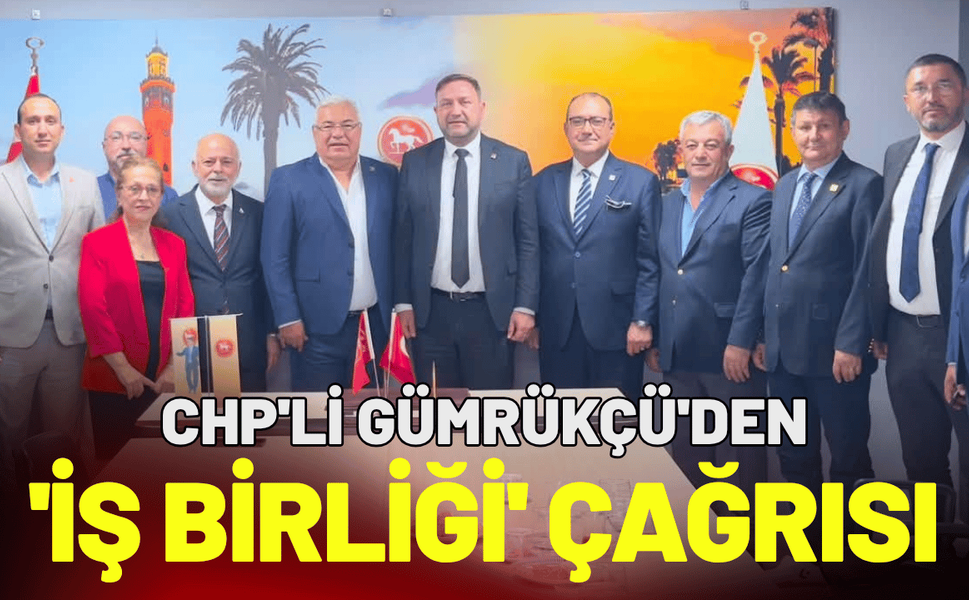 CHP'li Gümrükçü'den 'Siyaset üstü bir iş birliği' çağrısı