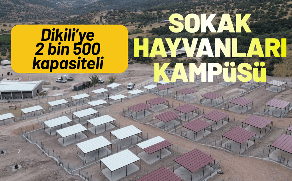 Dikili’ye tam teşekküllü sokak hayvanları kampüsü