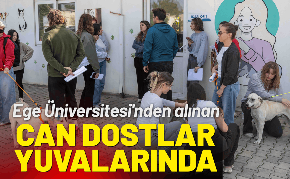 Ege Üniversitesi'nden alınan can dostlar, yeni sahipleriyle buluştu