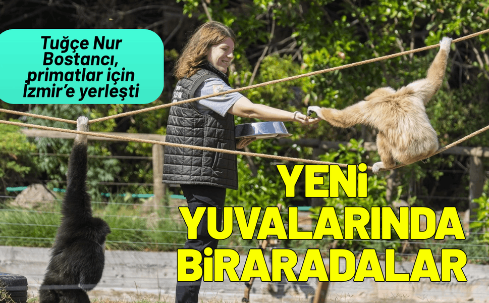 Tuğçe Nur Bostancı, primatlardan ayrılmadı, İzmir'e geldi