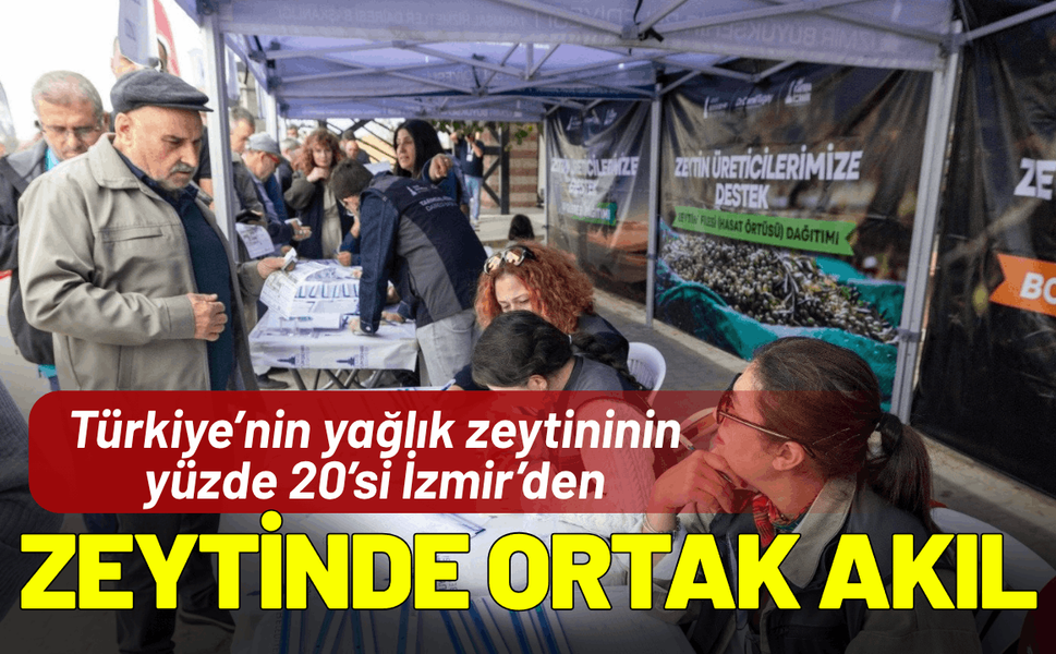 Zeytinde ortak akıl: Türkiye’nin yağlık zeytininin yüzde 20’si İzmir’den