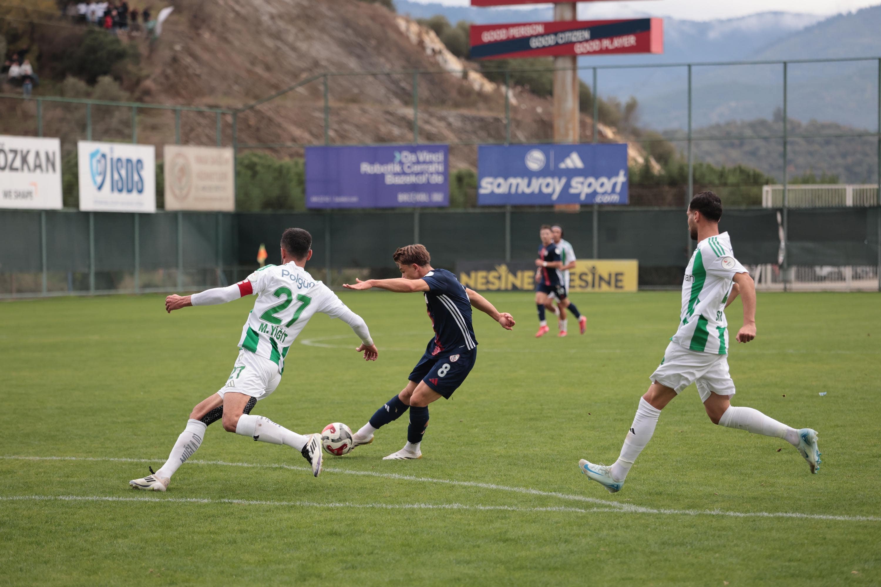 A L T I N O R D U M U G L A S P O R F O T O G R A F L A R 1040729 308837 Min