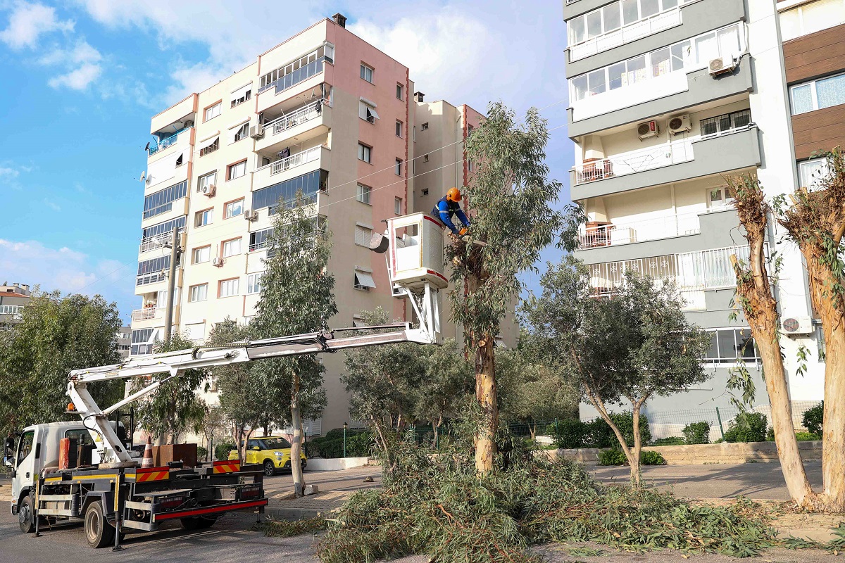 Buca Agac Budama (20)