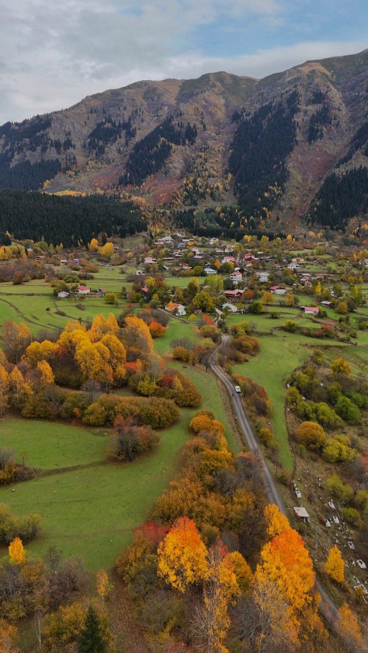 S A K I N S E H I R’ S A V S A T’ T A S O N B A H A R D A R E N K 999577 296580