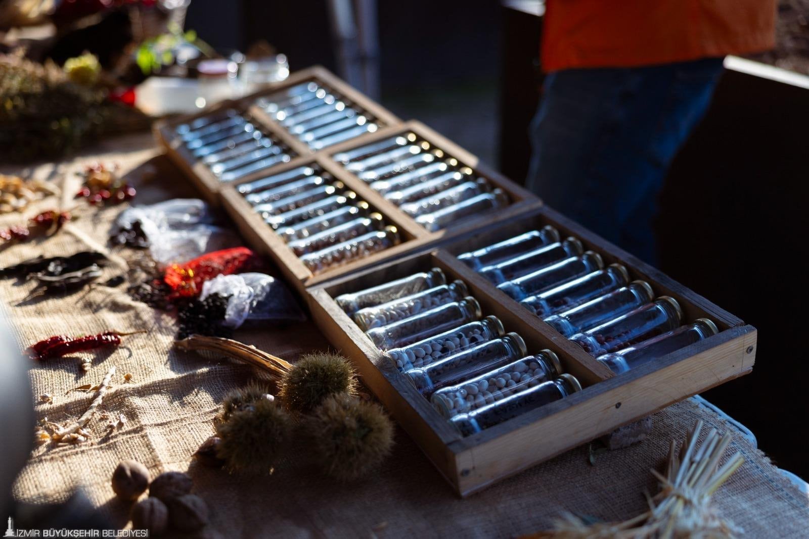 01122025 85025 5 Min