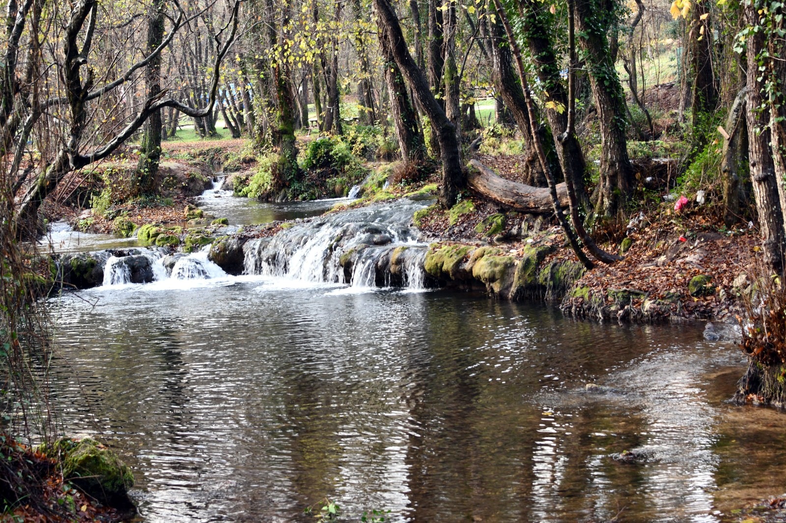 I S T R A N C A D A G L A R I E T E K L E R I D O G A F O T O G R A F 1052476 312289 Min