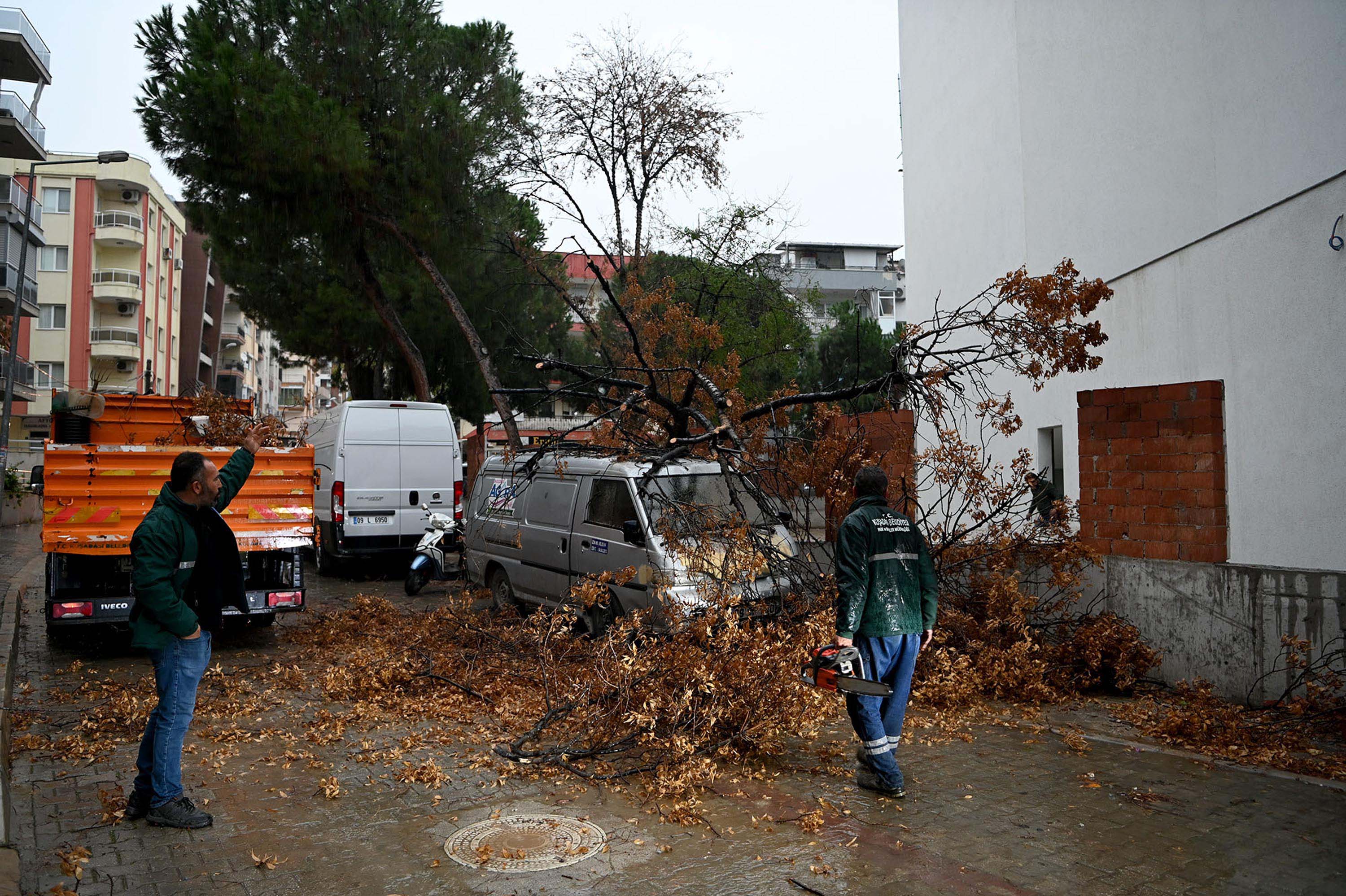 K U S A D A S I N D A S A G A N A K Y A S A M I O L U M S U Z E T K I 1049138 311329