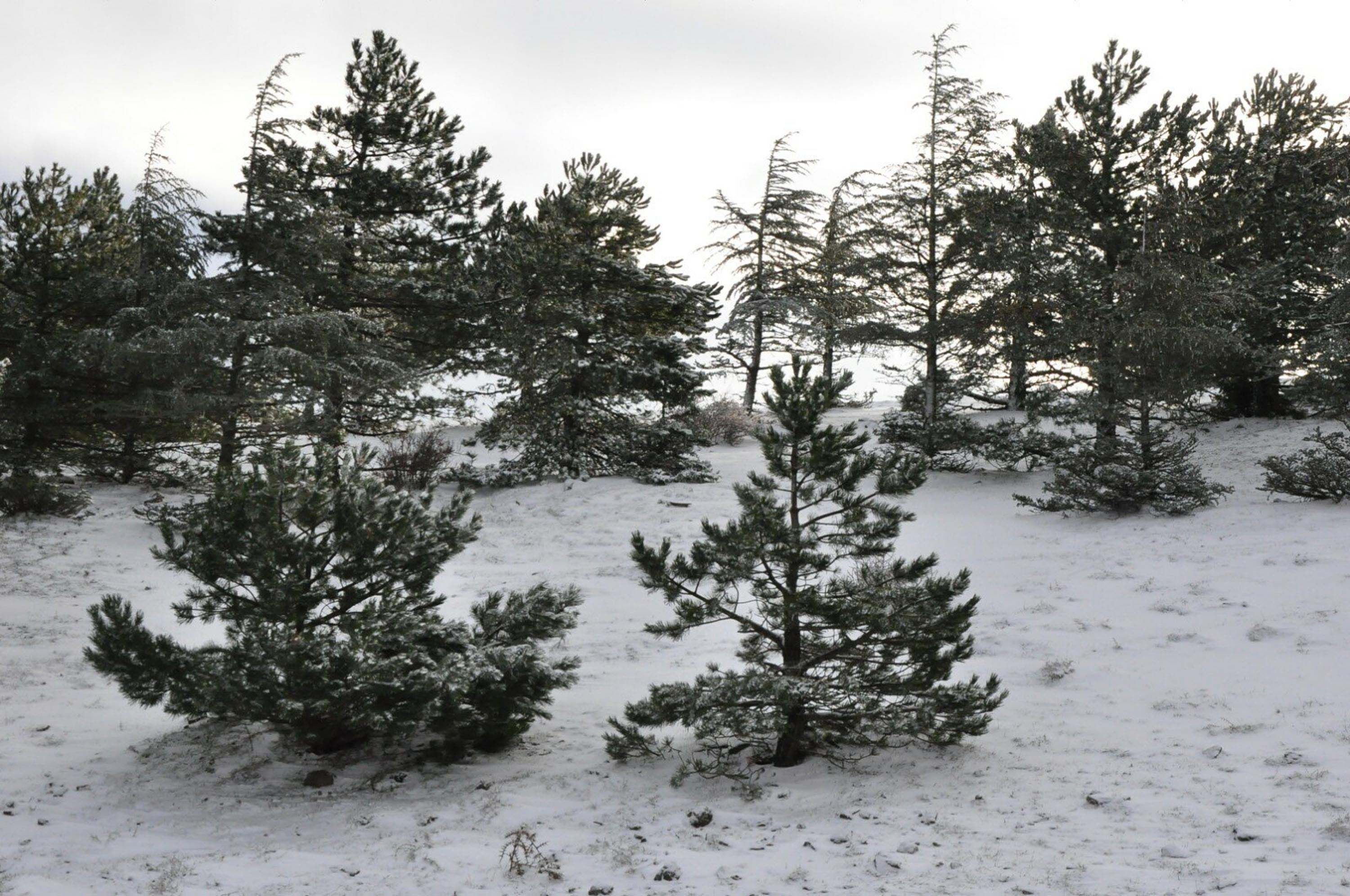 S P I L D A G I B E Y A Z O R T U Y L E K A P L A N D I E K F O T 1086045 322320 Min