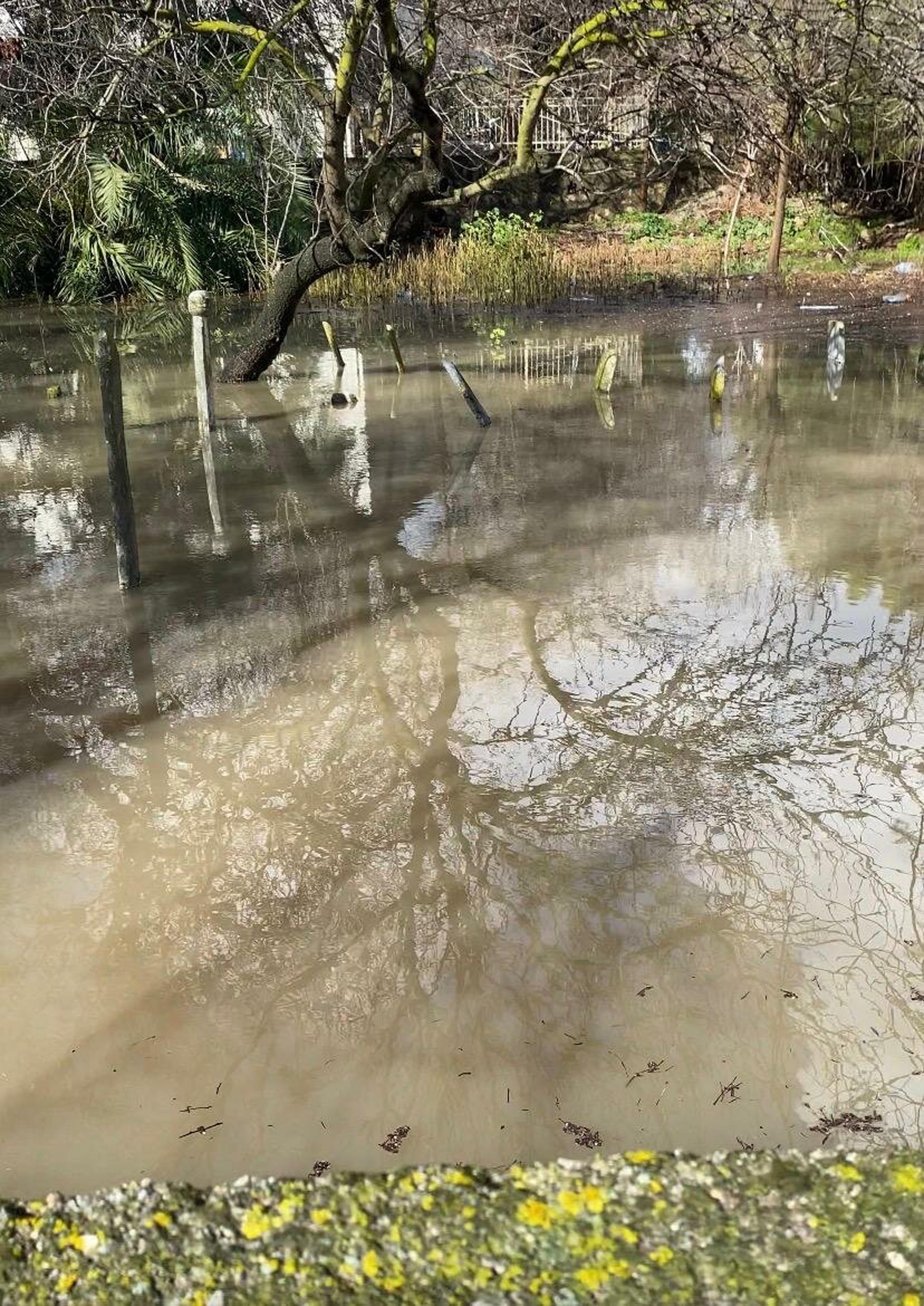 Cesmede Saganak Etkili Oldu Pazar Yeri 1132775 336307 (1)