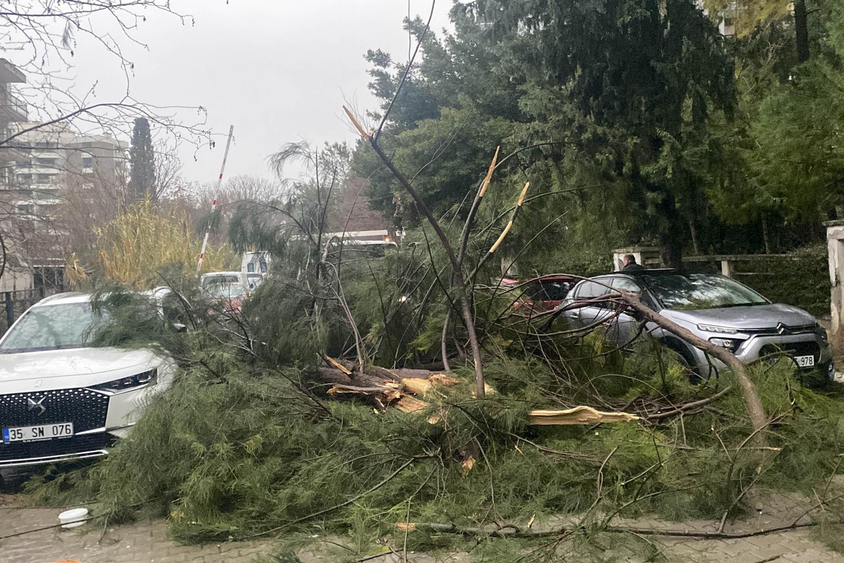 Fırat Mahallesi 272 Sokak (1)