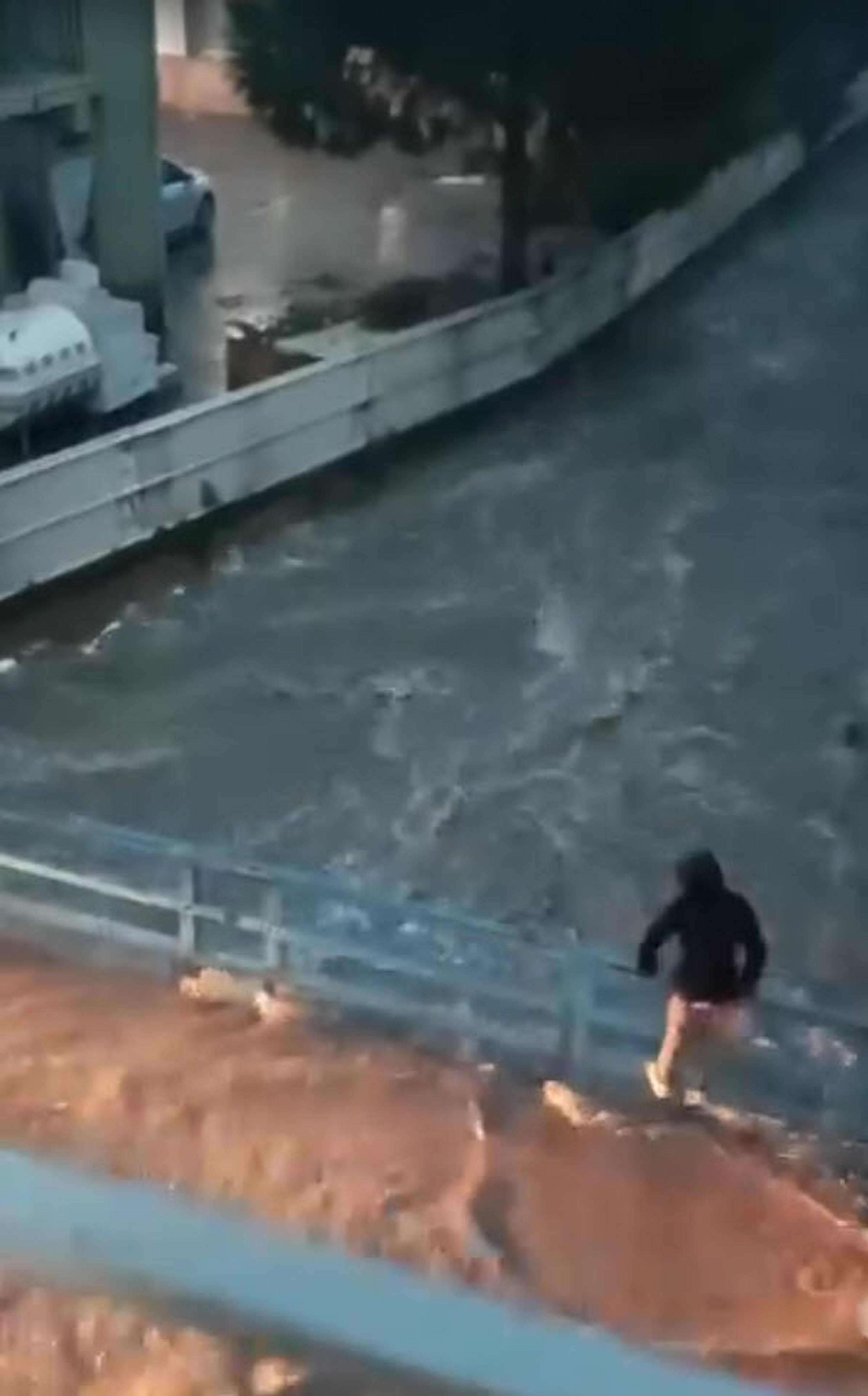 I Z M I R D E S A G A N A K E T K I L I O L D U (2) 1128320 334967