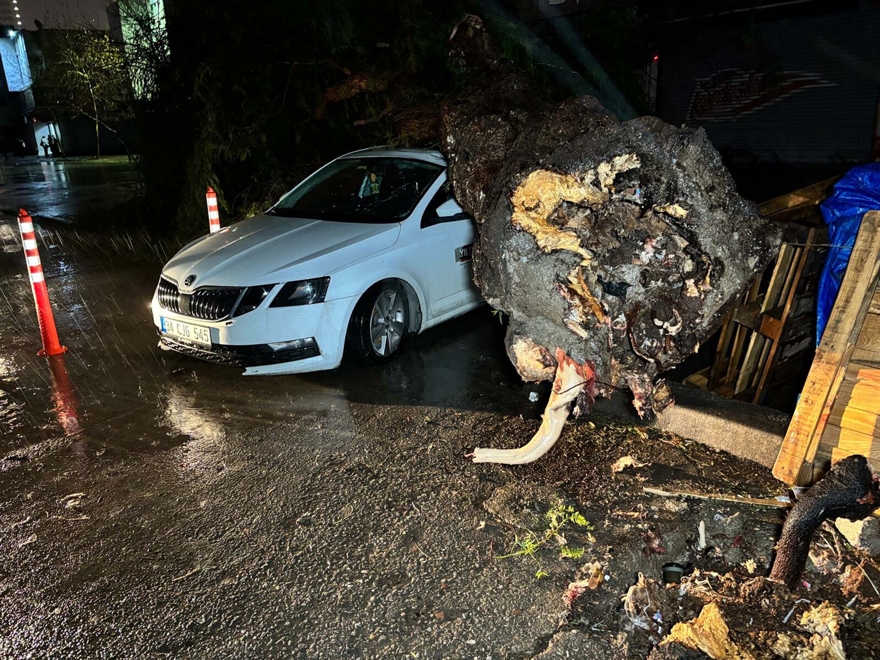 I Z M I R’ D E S A G A N A K H A Y A T I O L U M S U Z E T K I L E D I 1135939 337212