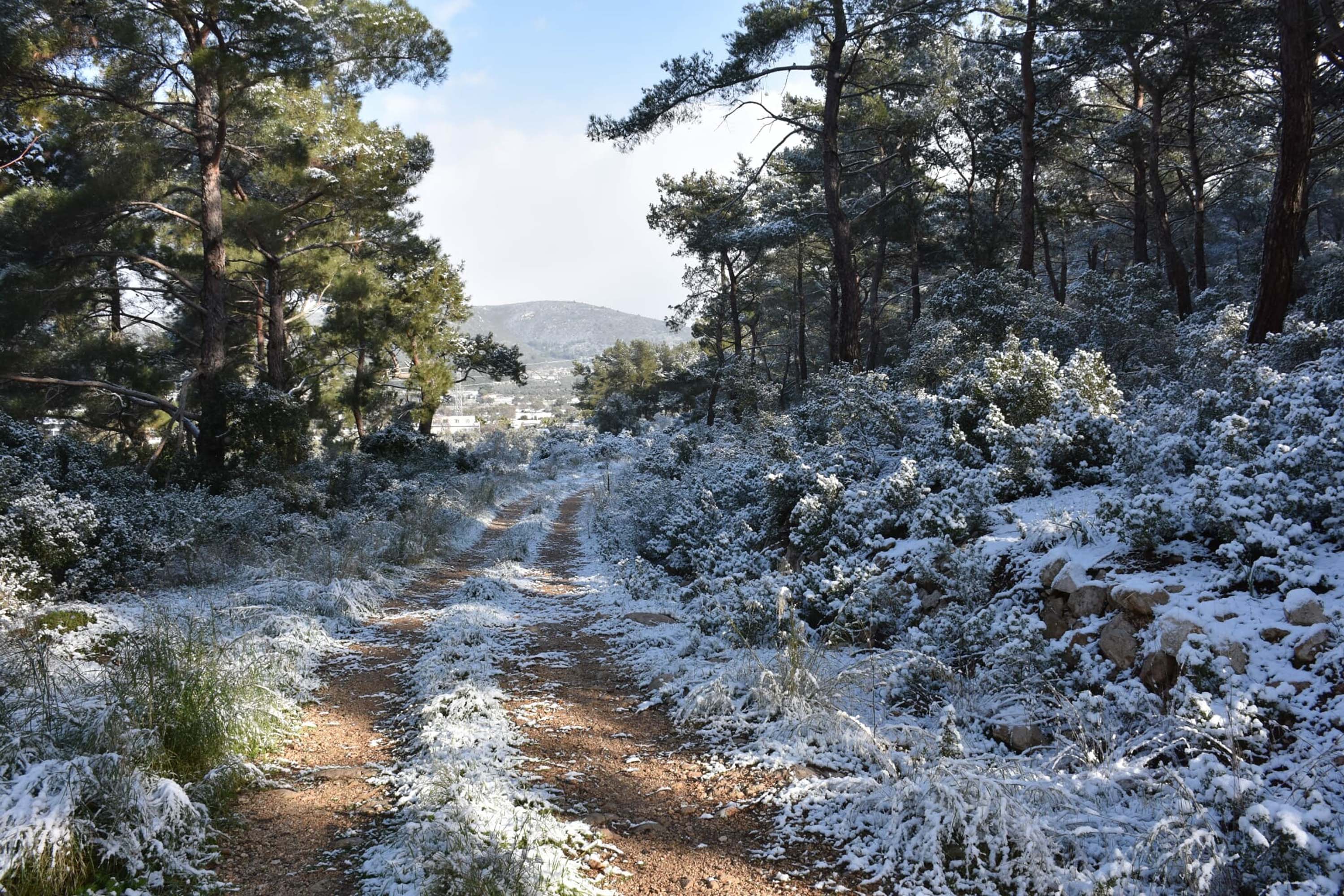 I Z M I R’ D E Y E N I Y I L I N I L K G U N U N D E K A R Y A G I 1092246 324224 Min