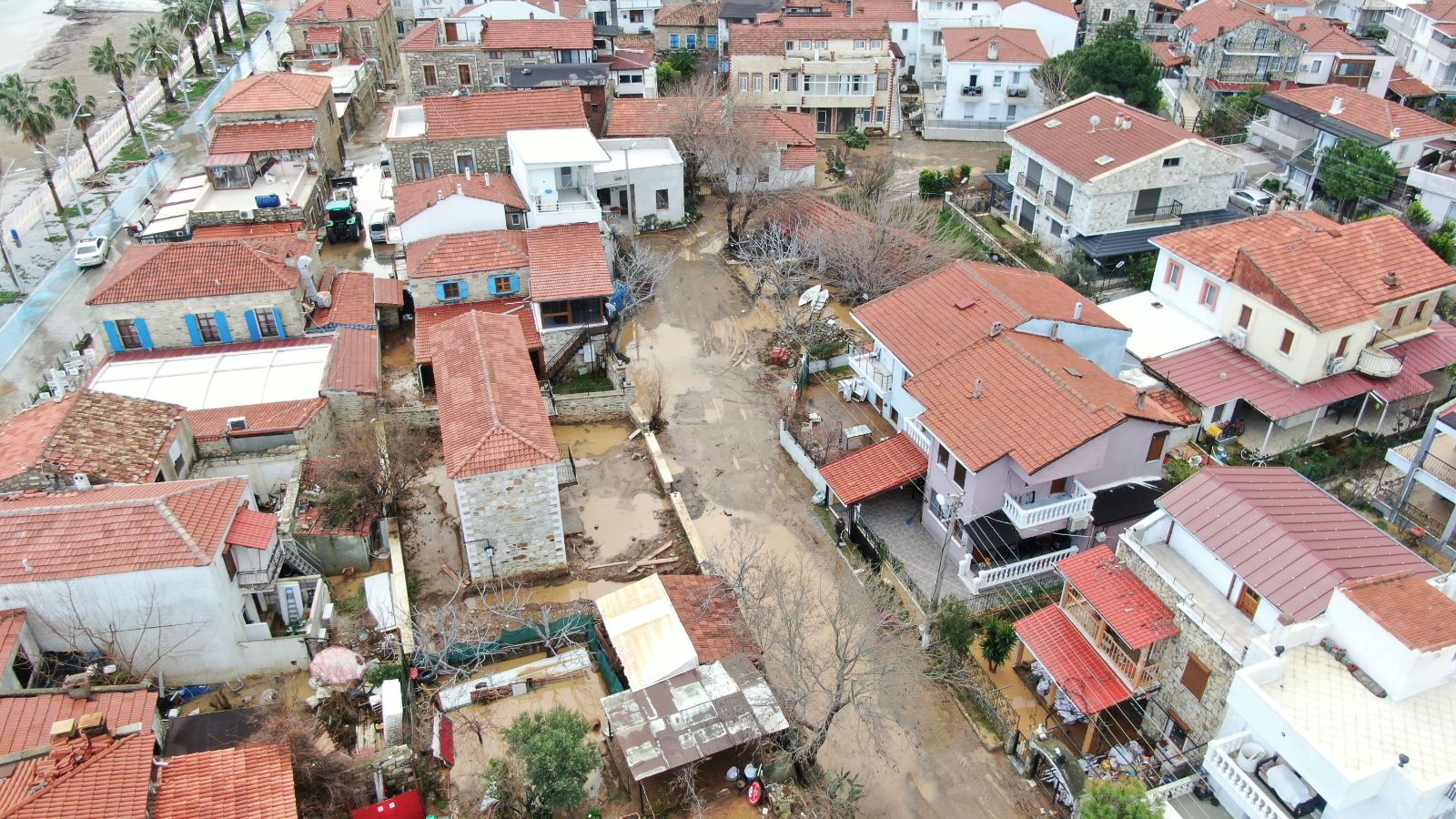 698F05Fcf007B 1770980860