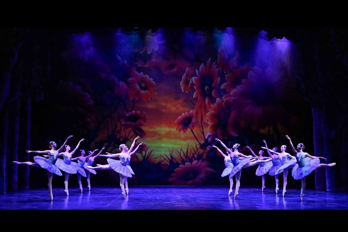 Don Kişot (9) (1) (1)