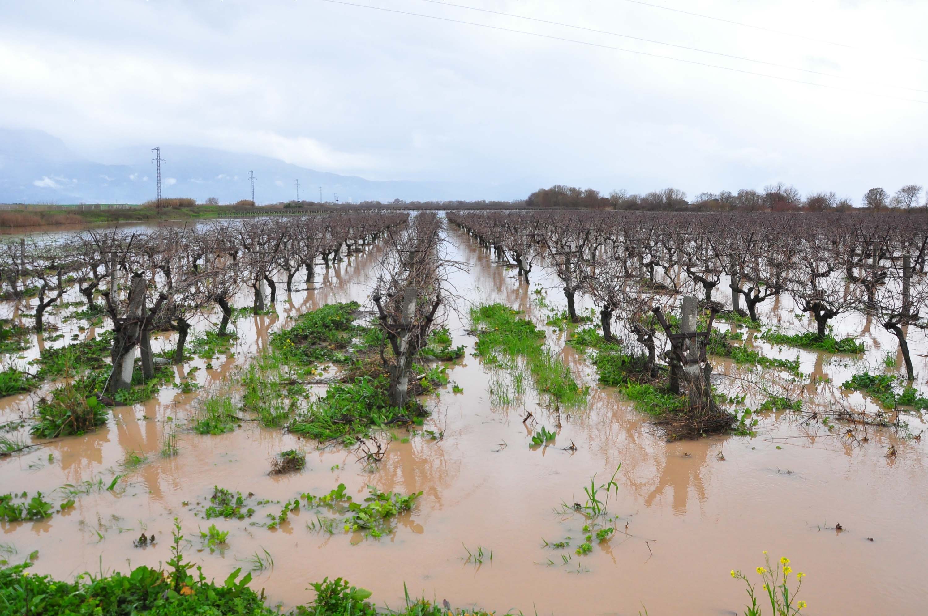 Manisada Cay Tasti 20 Mahalleyi Sehir 1166434 346490 (1)