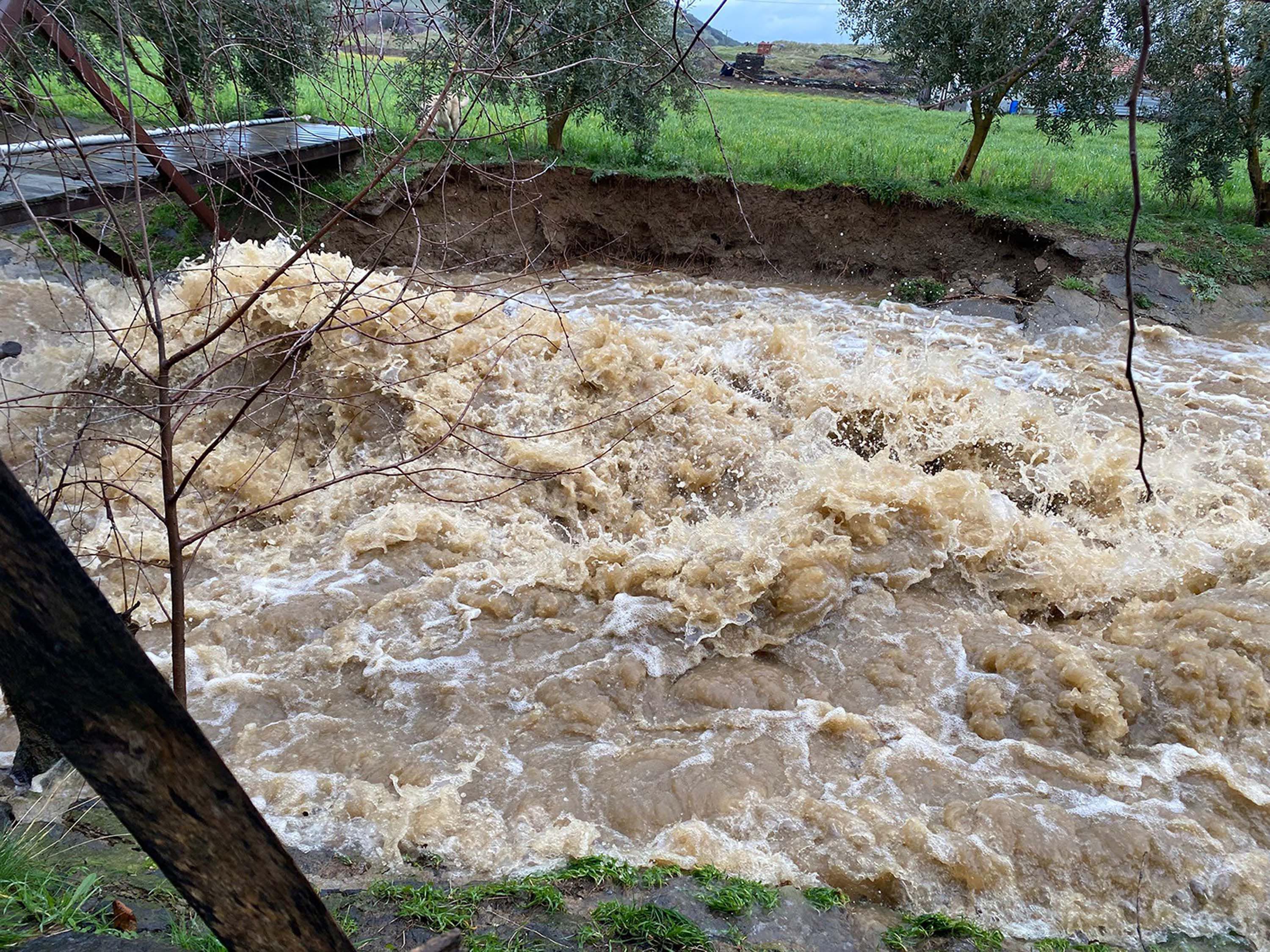 Manisada Dereler Tasti Tarim Arazileri 1175001 349035 (1)