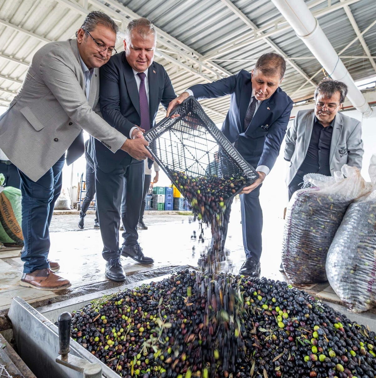 Whatsapp Image 2025 12 29 At 19.37.50