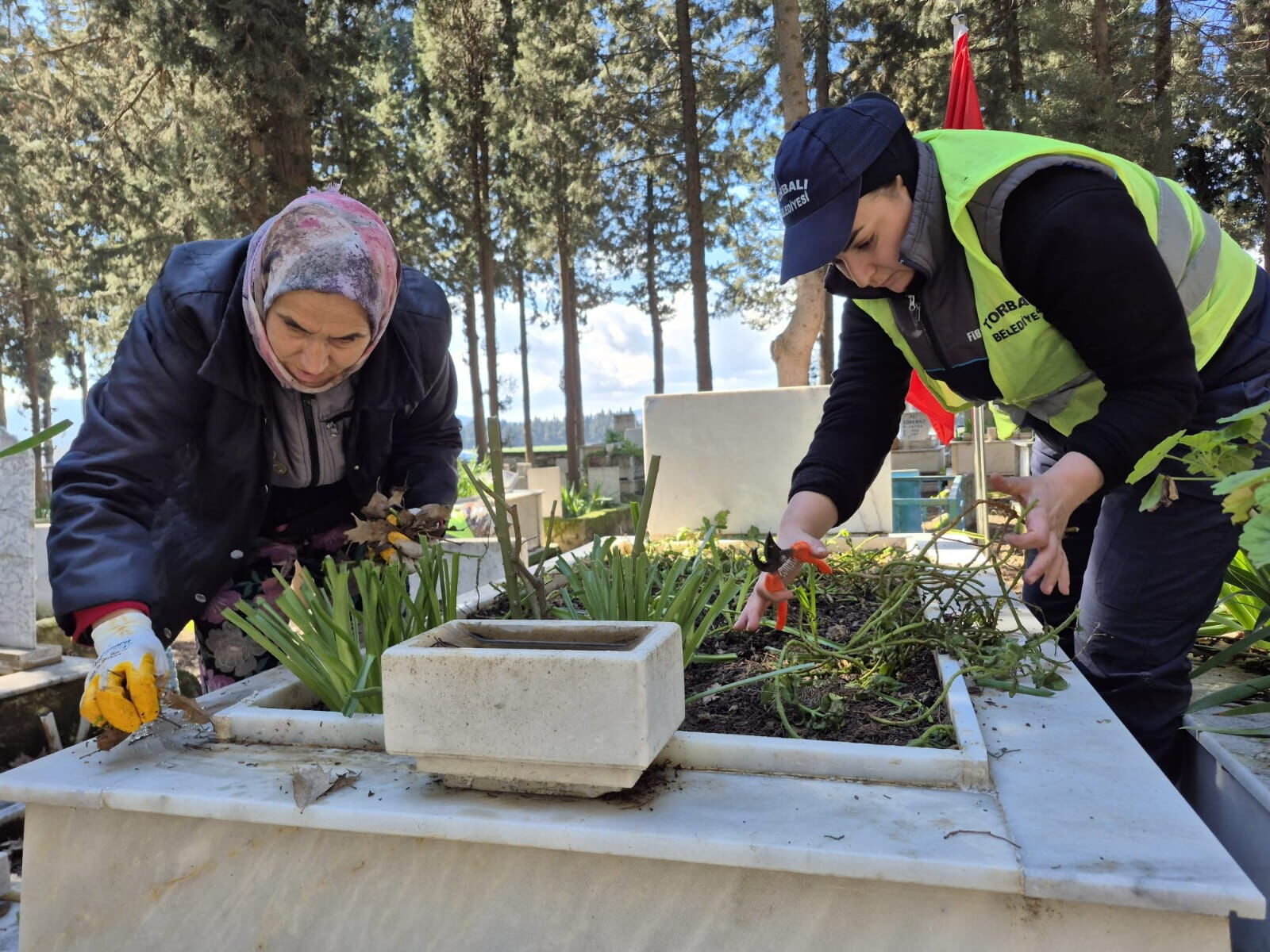 293A3D84 E989 4B28 A1Ec 0Af855040558 (1)