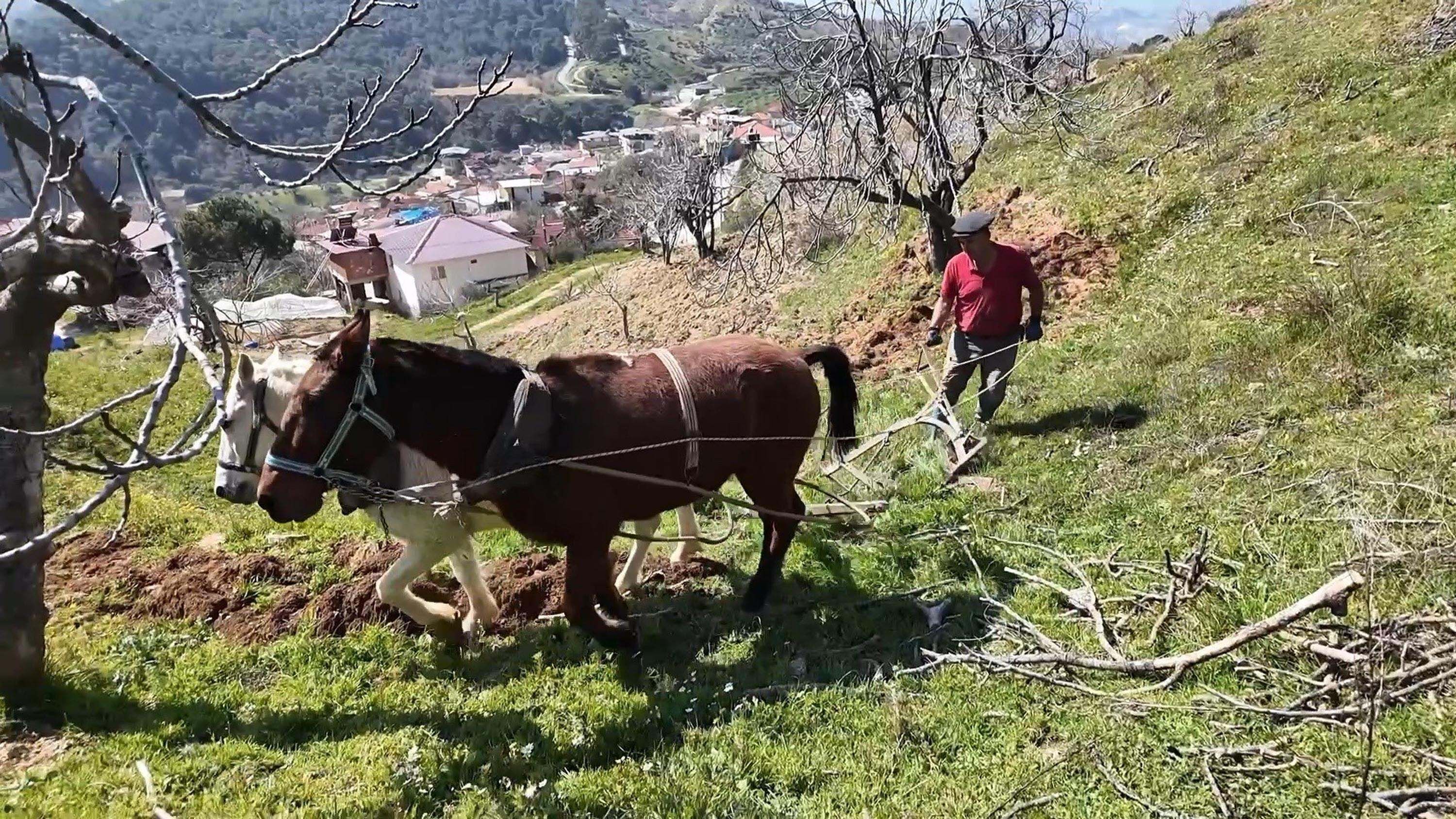 Aydinda Gunluk 8 Bin Tlye At Ile Cift 1205350 358421 (1)