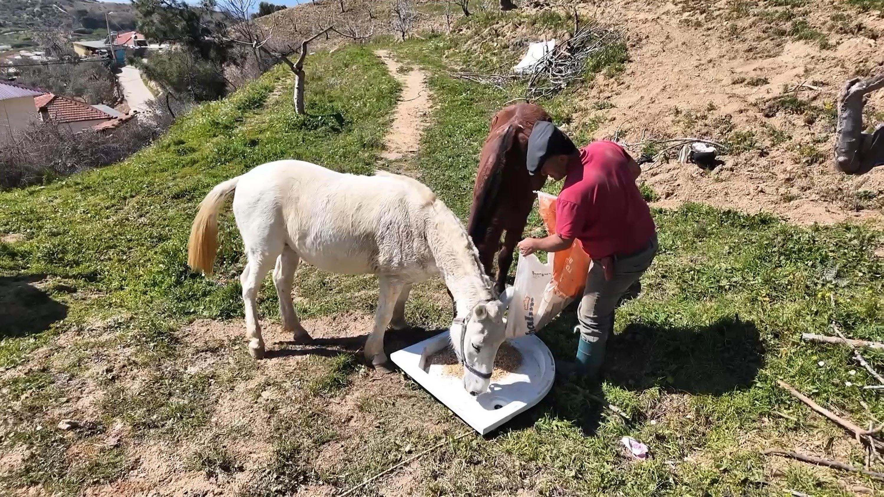 Aydinda Gunluk 8 Bin Tlye At Ile Cift 1205355 358421 (1)