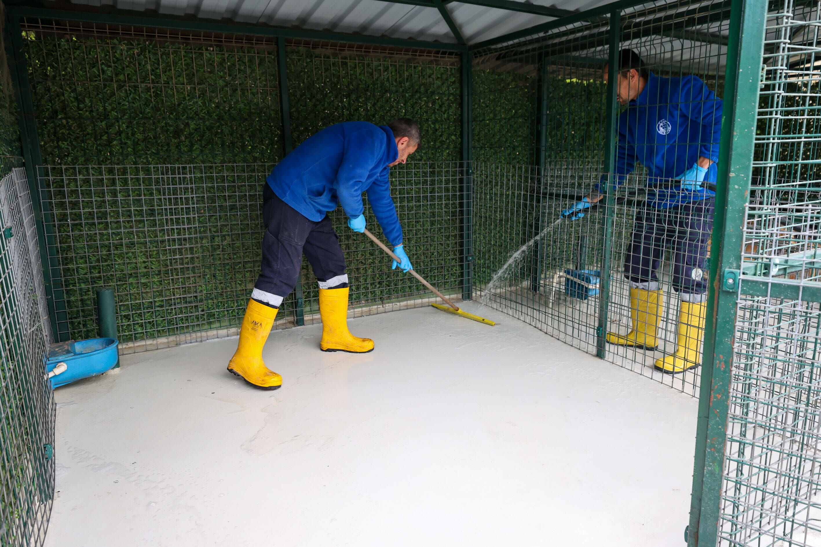 Buca Veteriner Temizlik6 (1)