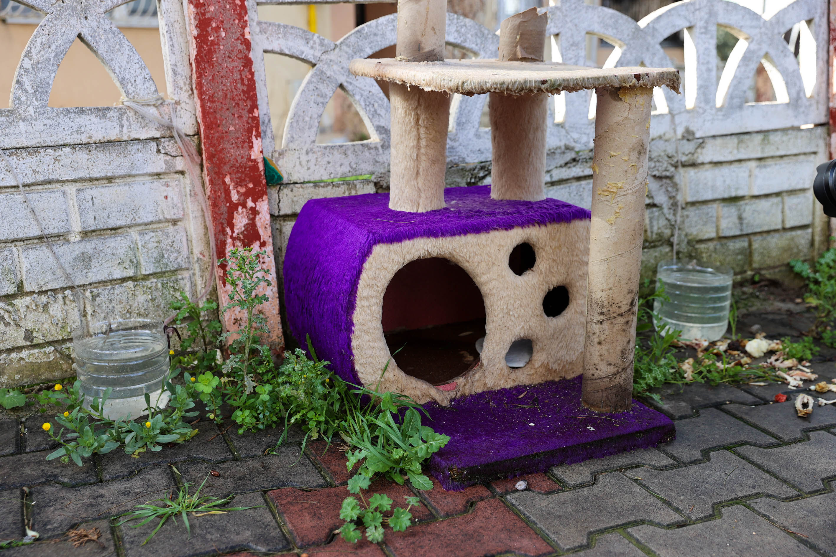 Buca’da Can Dostlara Yönelik Şüpheli Ölümlere Anında Müdahale8 (1)