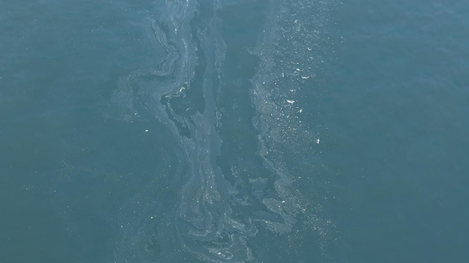 Whatsapp Image 2026 03 06 At 10.59.04 (1)