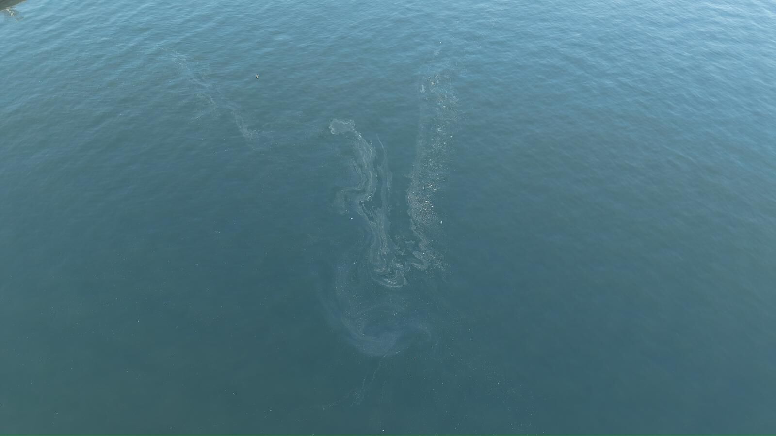 Whatsapp Image 2026 03 06 At 10.59.04