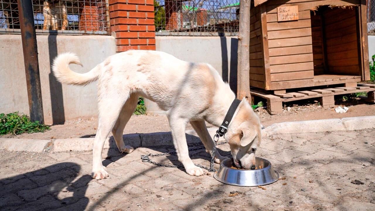 Whatsapp Image 2026 03 17 At 10.58.31 (1)