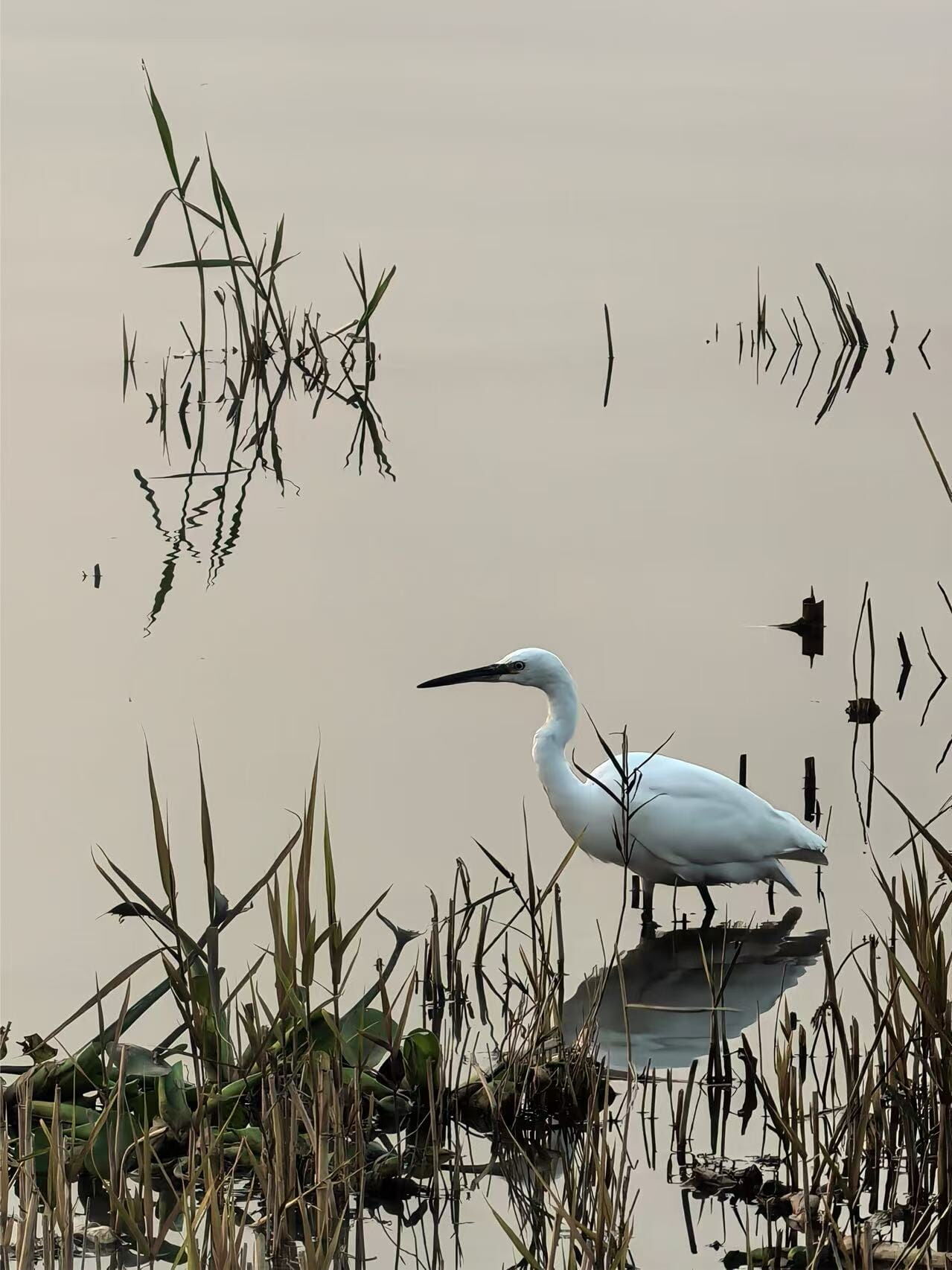 1. Çocukların Gözünden Şehir (1)