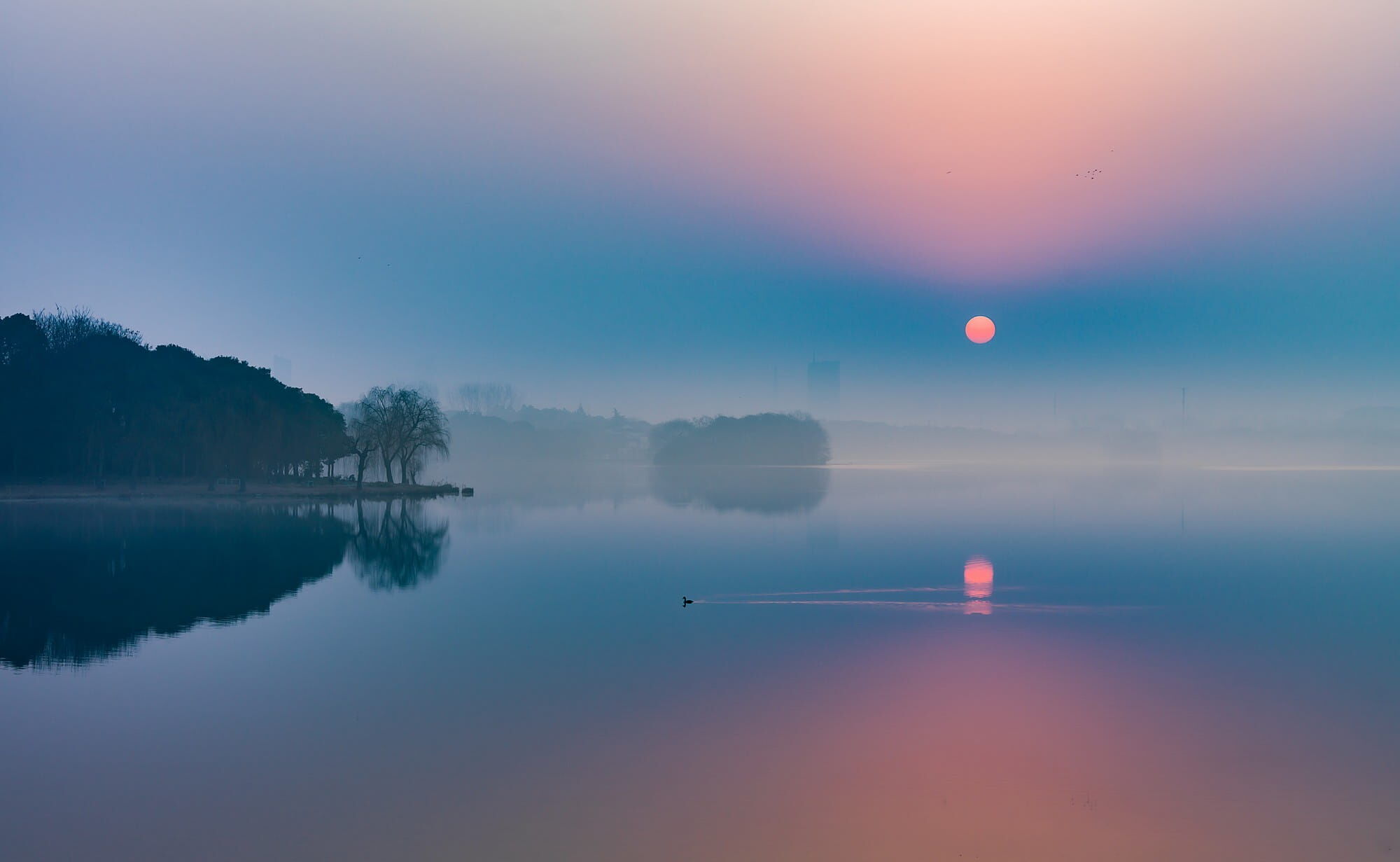 2. Şehrin Yeşil Nefesi (1)