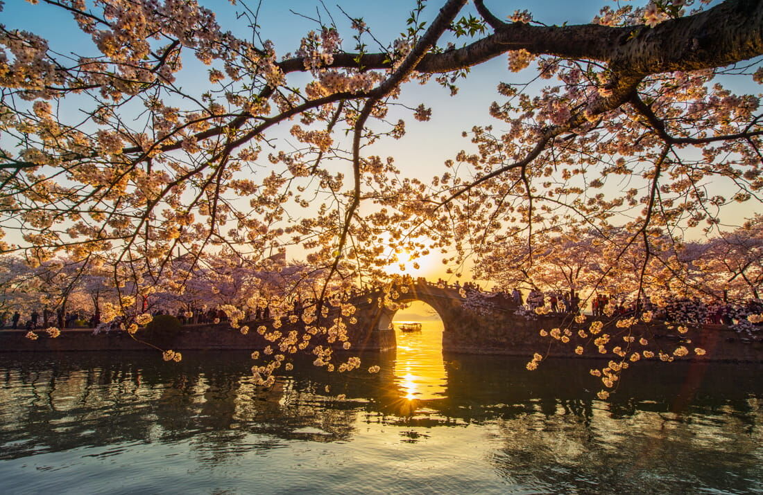 3. Şehrin Yeşil Nefesi (1)