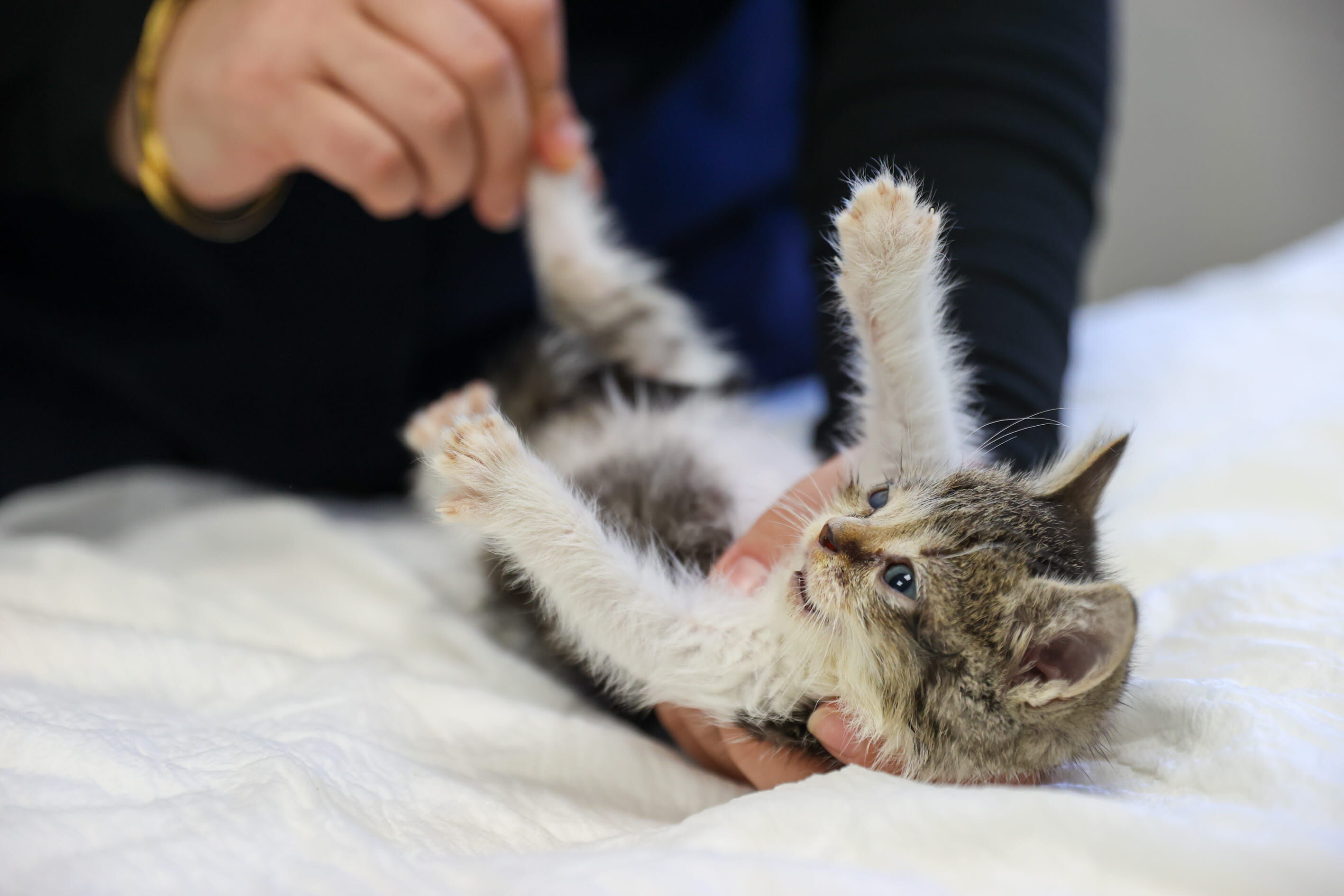 Buca Belediyesi ‘Zero’ Için Seferber Oldu8 (1)