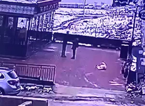 G U L I S T A N D O K U S O R U S T U R M A S I N D A F I R A R I U M U 501841 381439