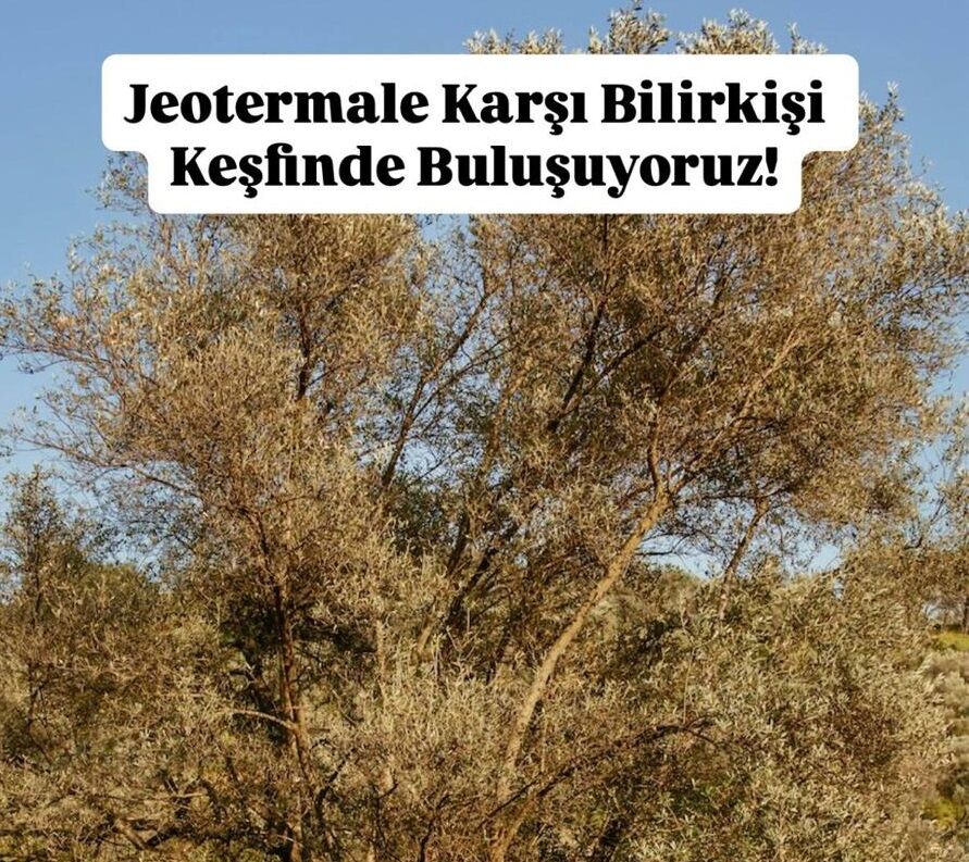 Whatsapp Image 2026 04 01 At 21.49.15